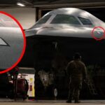 Airbus Tests Armed ‘Bird of Prey’ Interceptor Drone
